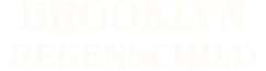 brooklyn regenschild