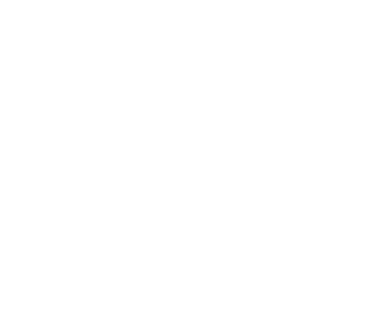 DEfensive roman mingo 