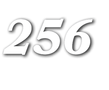 256