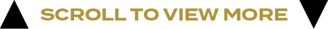scroll to view mor