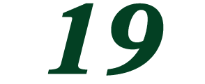 19