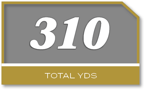 310,TOTAL YD