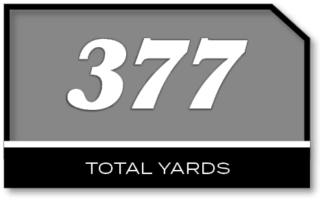377,TOTAL YARD