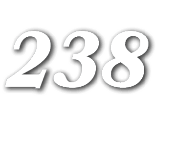 238