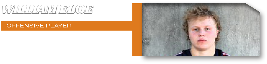 OFFENSIVE PLAYER,261 rush yds, 3 td, 8 rec yds,William Elo