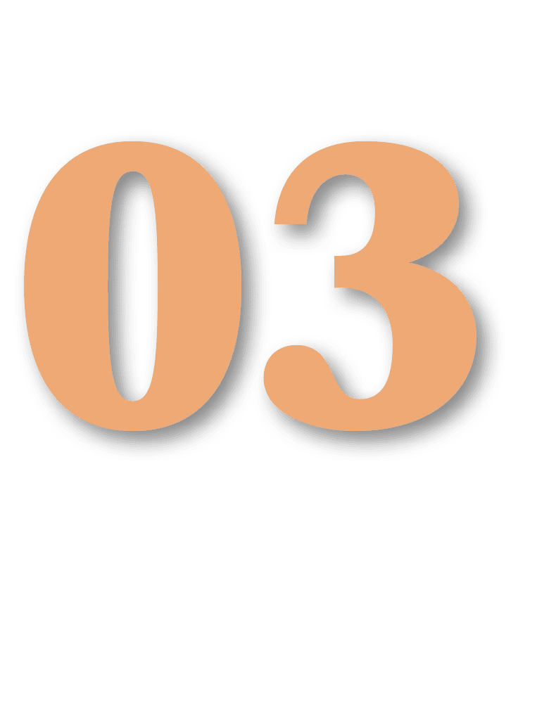 03