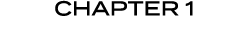 chapter 1