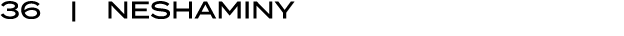 36 | neshaminy