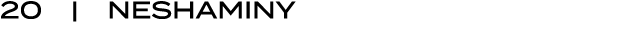 20 | neshaminy