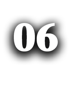 06