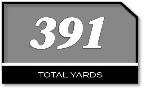 391,TOTAL YARD