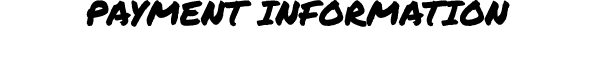 PAYMENT INFORMATION