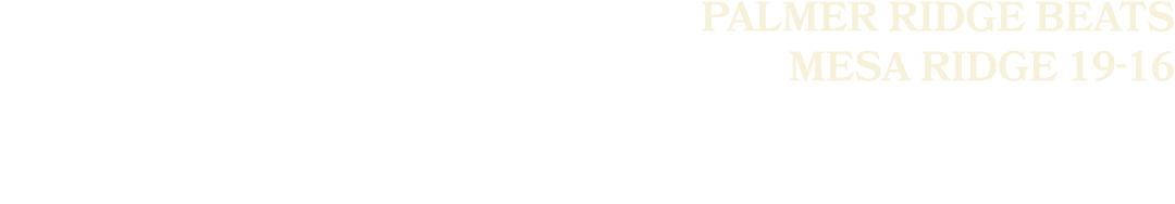 Palmer Ridge beats Mesa Ridge 19 16