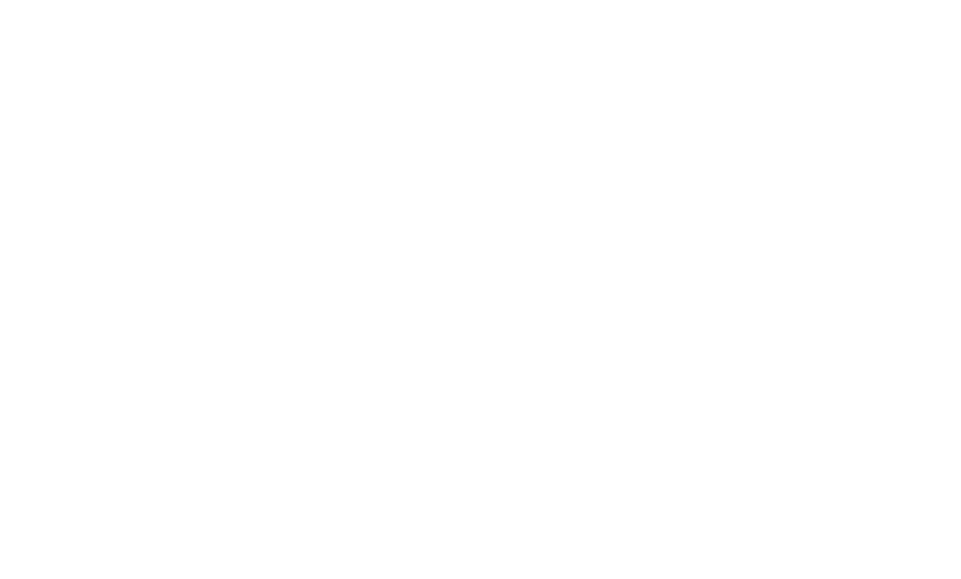 Dianna Harris Content Liaison Mary Oringdulph Content Liaison Megghan St. Aubyn Fundraising Liaison Zach Carlton Game...