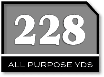 228,ALL PURPOSE YD