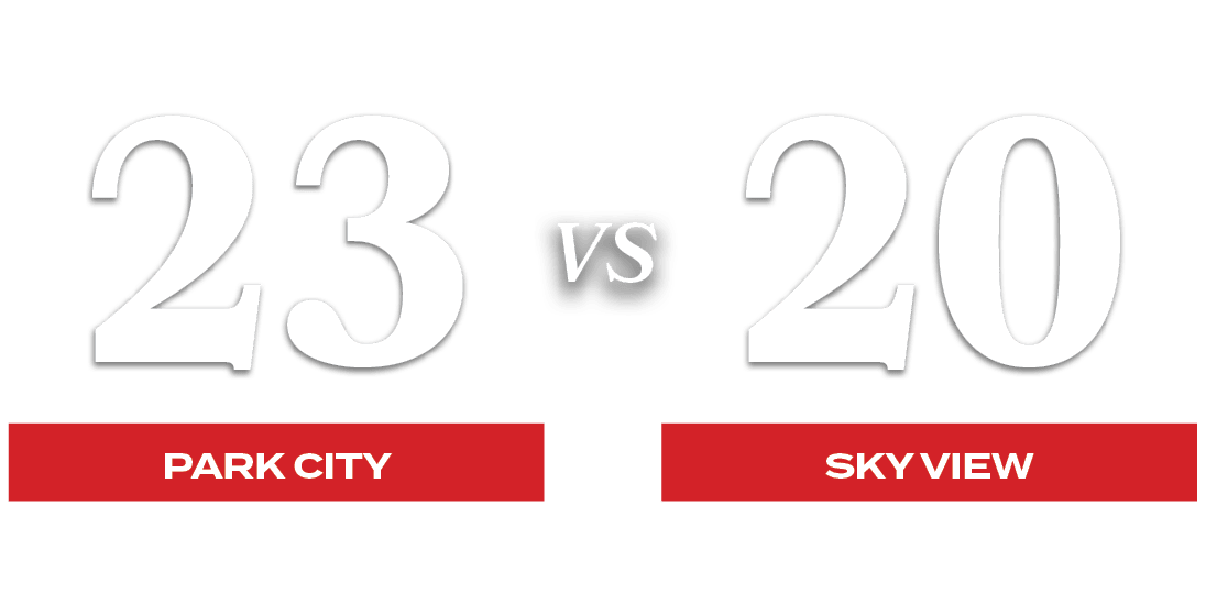 20,23,VS,sky view,park cit