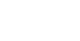 MOUNTAIN VIEW BRUINS