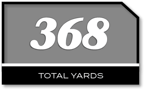 368,total yard