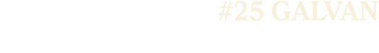 #25 GALVAN
