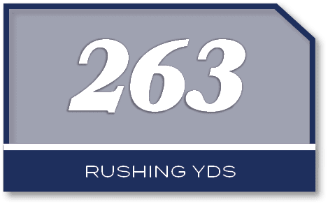 263,rushing yd