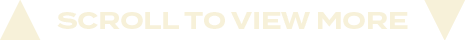 scroll to view mor