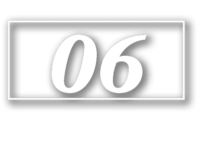06
