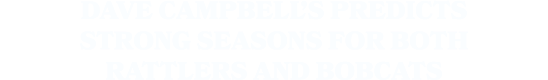 Dave Campbell’s predicts strong seasons for both Rattlers and Bobcats