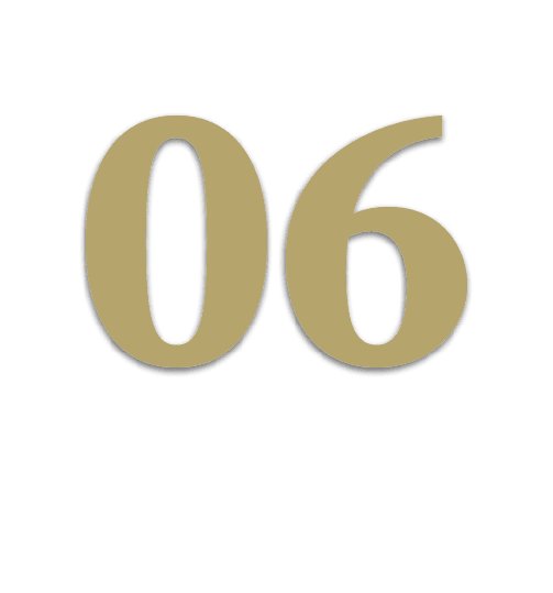 06