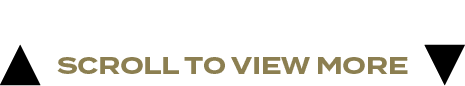 scroll to view mor