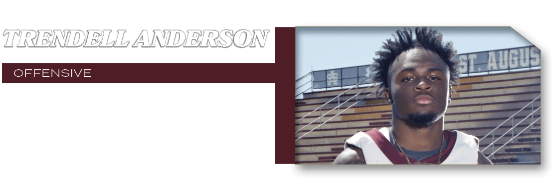 OFFENSIVE,19 carries, 246 yards, 3 TDs,Trendell Anderso