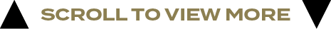scroll to view mor