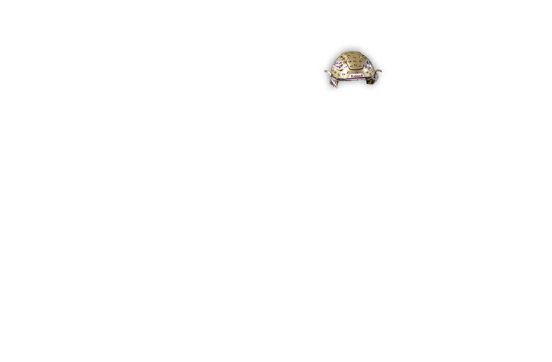 Rectangle