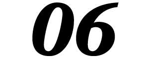 06