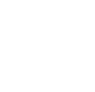 44