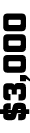 $3,000