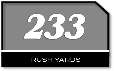 233,rush yard