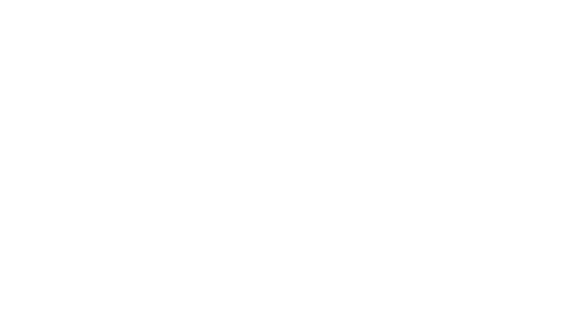 Van Vogler 1 Interception