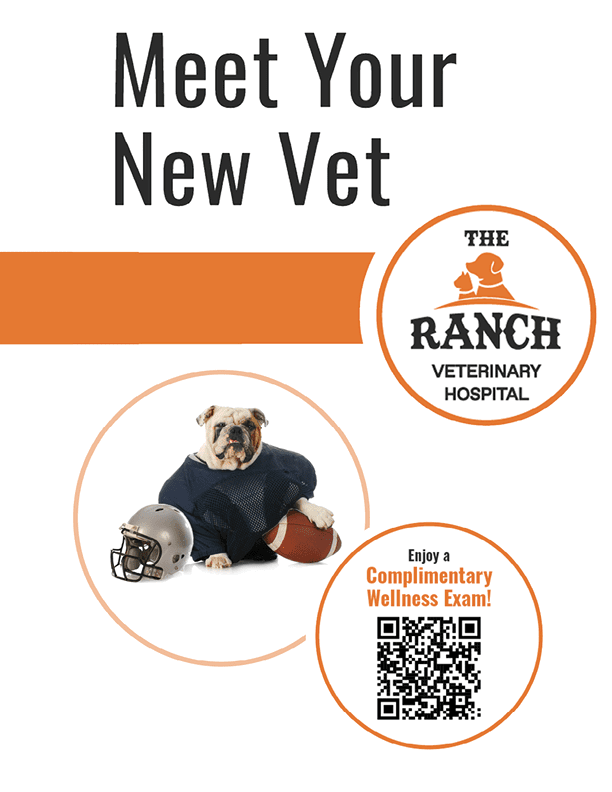 $$$/StateType/Normal