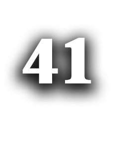41