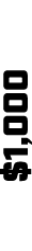 $1,000