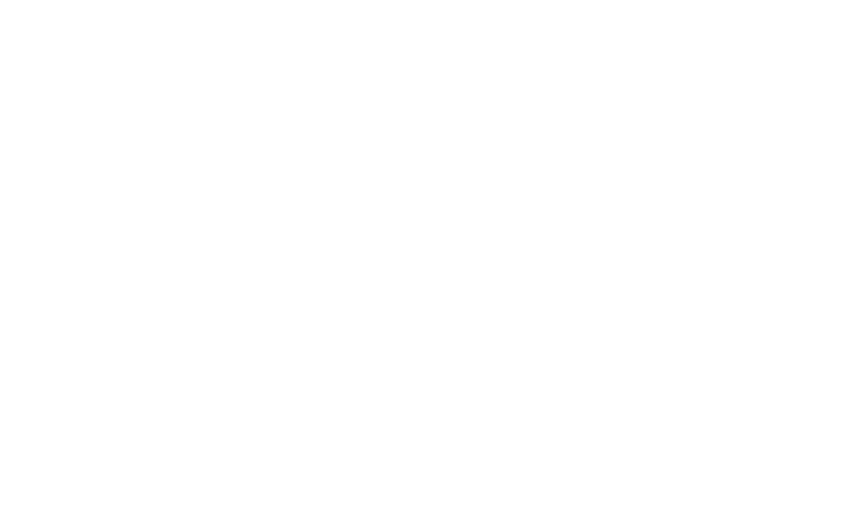 TODD STEVENS CONTENT LIAISON & HEAD COACH KURT BARTH CONTENT LIAISON JAKE WESTON FUNDRAISING LIAISON ALLISON HROVATIN...