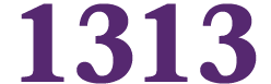 1313