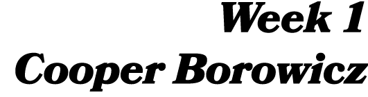 Week 1 Cooper Borowicz