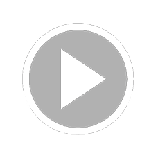 $$$/StateType/Normal