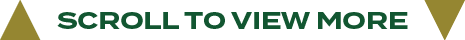 scroll to view mor