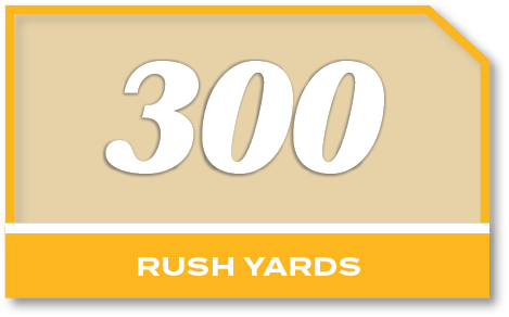 300,rush YARD