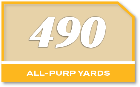 490,all purp YARD