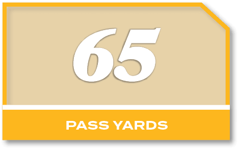 65,PASS YARD
