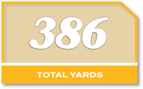 386,total YARD
