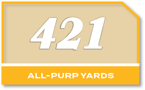 421,all purp YARD